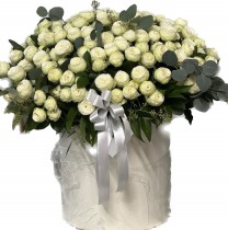 Снежное дыхание